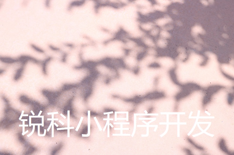 小程序开发公司：实现高效的业务扩展和转型